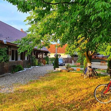 La Romaneasa Săpînţa Exteriér fotografie