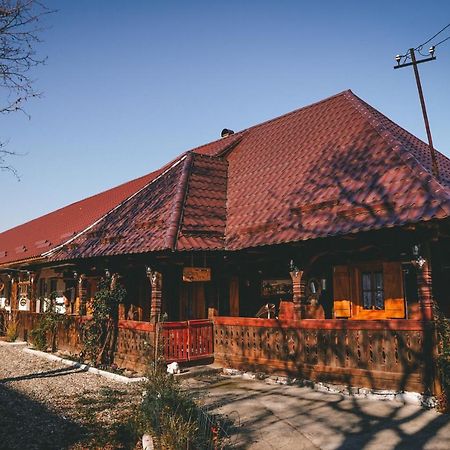 La Romaneasa Săpînţa Exteriér fotografie