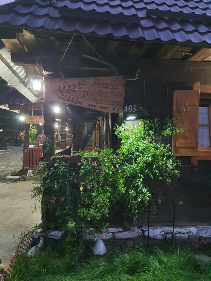 La Romaneasa Săpînţa Exteriér fotografie