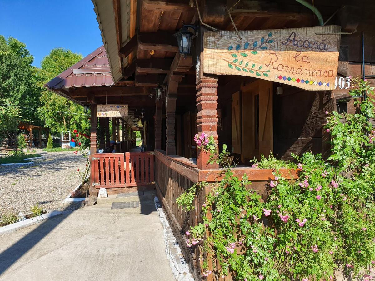 La Romaneasa Săpînţa Exteriér fotografie