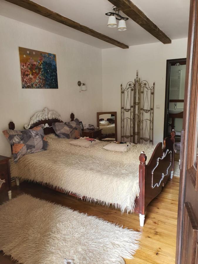 La Romaneasa Săpînţa Exteriér fotografie