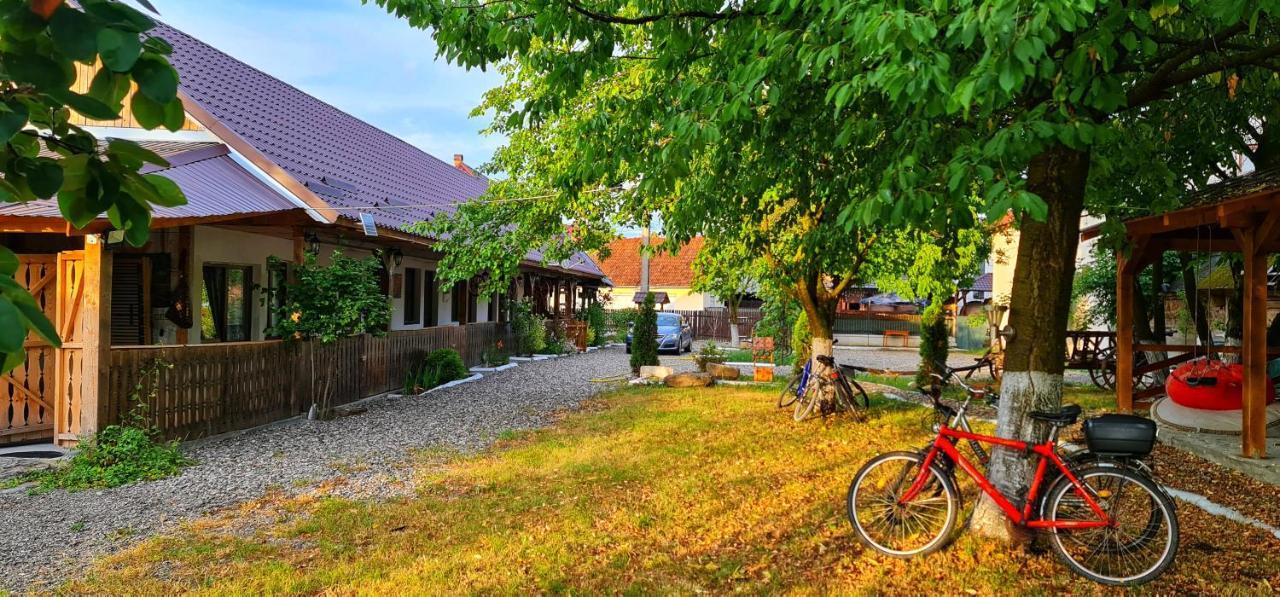 La Romaneasa Săpînţa Exteriér fotografie