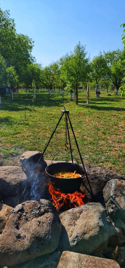 La Romaneasa Săpînţa Exteriér fotografie