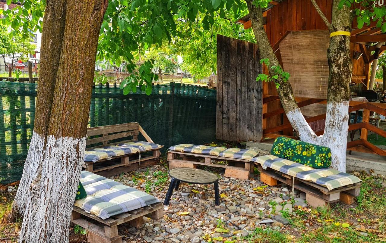 La Romaneasa Săpînţa Exteriér fotografie